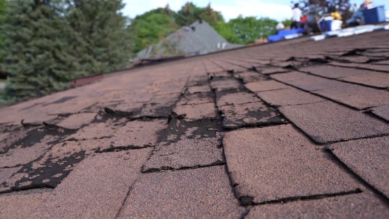 Best Tile Roofing Installation  in Upper Grand Lagoon, FL