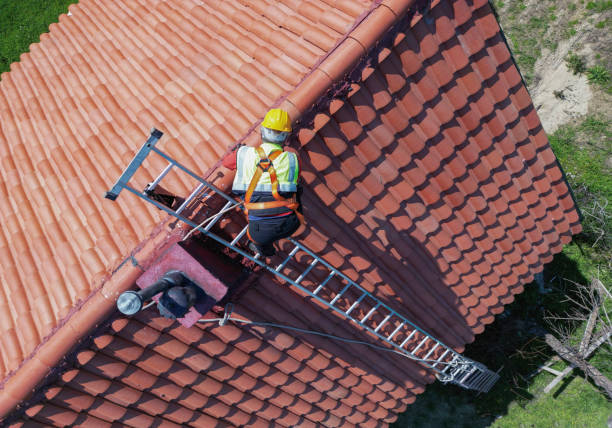Best Asphalt Shingles Roofing  in Upper Grand Lagoon, FL